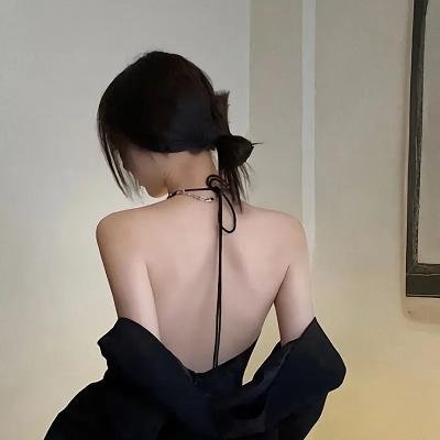 侠盗高飞